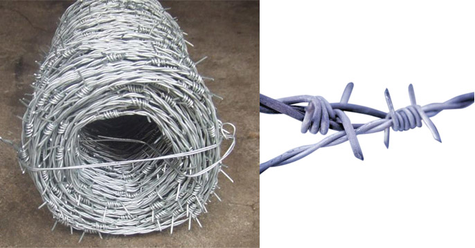 Barbed Iron Wire